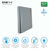 ENER-J 1 Gang Wireless Kinetic Switch, Silver + 500W RF Receiver
