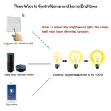 Wireless Light Switch Kit, 1 Gang Switch + 100W RF Dimmable Receiver