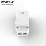 Wireless Light Switch Kit, 1 Gang Switch + 100W RF Dimmable Receiver