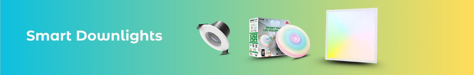 Smart Downlights