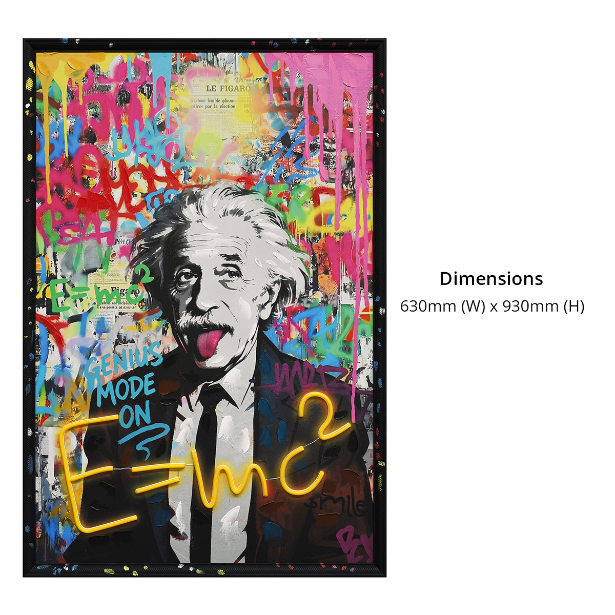 Britwall LED Wall Art Einstein E=mc² Illuminated Canvas 63x93cm with UK Plug & ON Off Switch