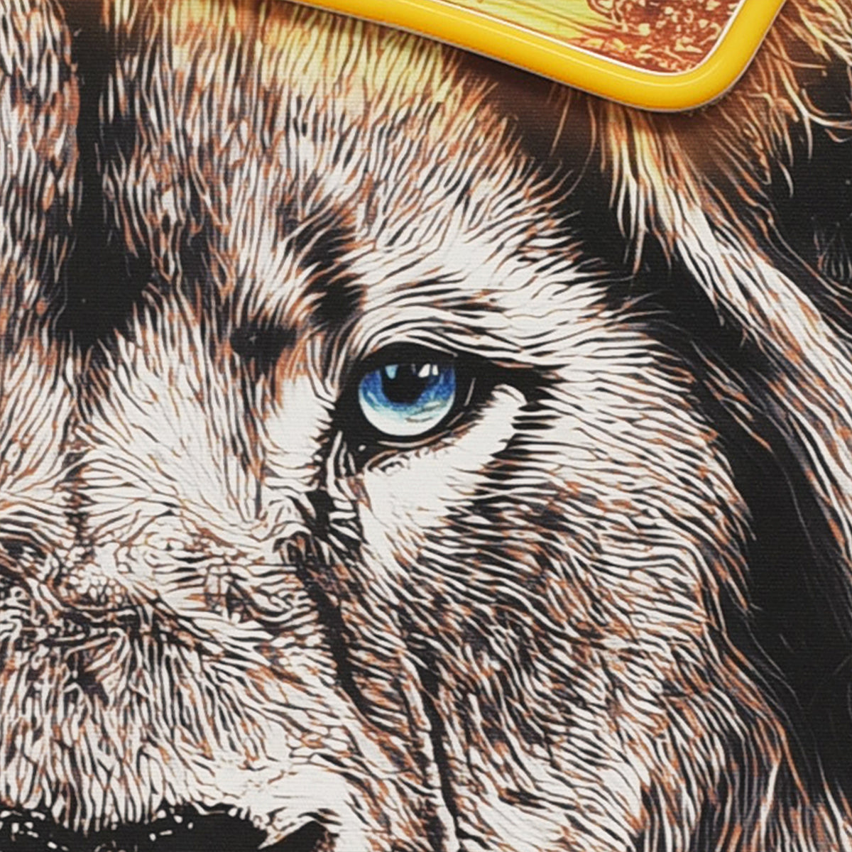 Britwall LED Wall Art Lion King Illuminated Canvas 61.6x91.6cm with UK Plug & ON Off Switch