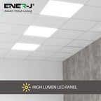 60x60 Slim Backlit LED Panel with CCT switch, Flicker Free Driver (2pc Pack)
