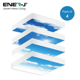 40W SKY LED Ceiling 60x60cms Panels with 3D Effect & Foldable Screwless Mounting Frame Kit