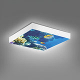 Set of 4 40W 2D Ocean Marine Ceiling Lights 60x60cms with 4 xFoldable Screwless Mounting Frames