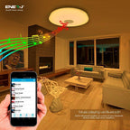 Smart Bluetooth 24W Ceiling Lamp RGB with Speaker