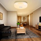 Smart Bluetooth 24W Ceiling Lamp RGB with Speaker