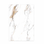 Sophisticated Charcoal High-Gloss PET Marble Wall Cladding Size:1220 x 2440 x 8 mm (Pack of 2)
