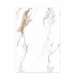 Sophisticated Charcoal High-Gloss PET Marble Wall Cladding Size:1220 x 2440 x 8 mm (Pack of 2)