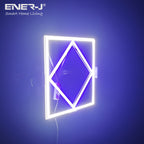 Double Square borderline Panel Light, 595x595, 40W 4000 lm, White (6000K) light in outside and blue light in inside (Pack of 6)