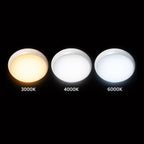 9 in 1 LED Bulkheads with Power Switchable (12W-18W-22W) and CCT Switchable & Built-in Microwave Sensor, Size: 320mm, IP65 & IK10, 3 Years warranty.