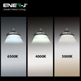 150W CCT & Power switchable UFO Highbay With Accessories for Reflector