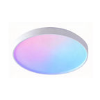 40W Scenic Surface LED Ceiling Light with multiple built-in modes, CCT+RGBIC, Round, Size: 380mm