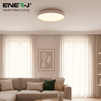 40W Scenic Surface LED Ceiling Light with multiple built-in modes, CCT+RGBIC, Round, Size: 380mm