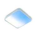 40W Scenic Surface LED Ceiling Light with multiple built-in modes, CCT+RGBIC, Square, Size: 380x380mm