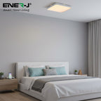 40W Scenic Surface LED Ceiling Light with multiple built-in modes, CCT+RGBIC, Square, Size: 380x380mm