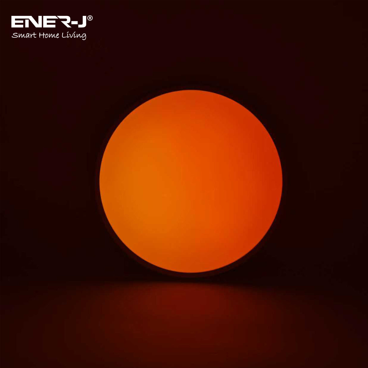 ENER-J SKY Smart Ceiling Light with Moving Cloud Animation (39cm Round)