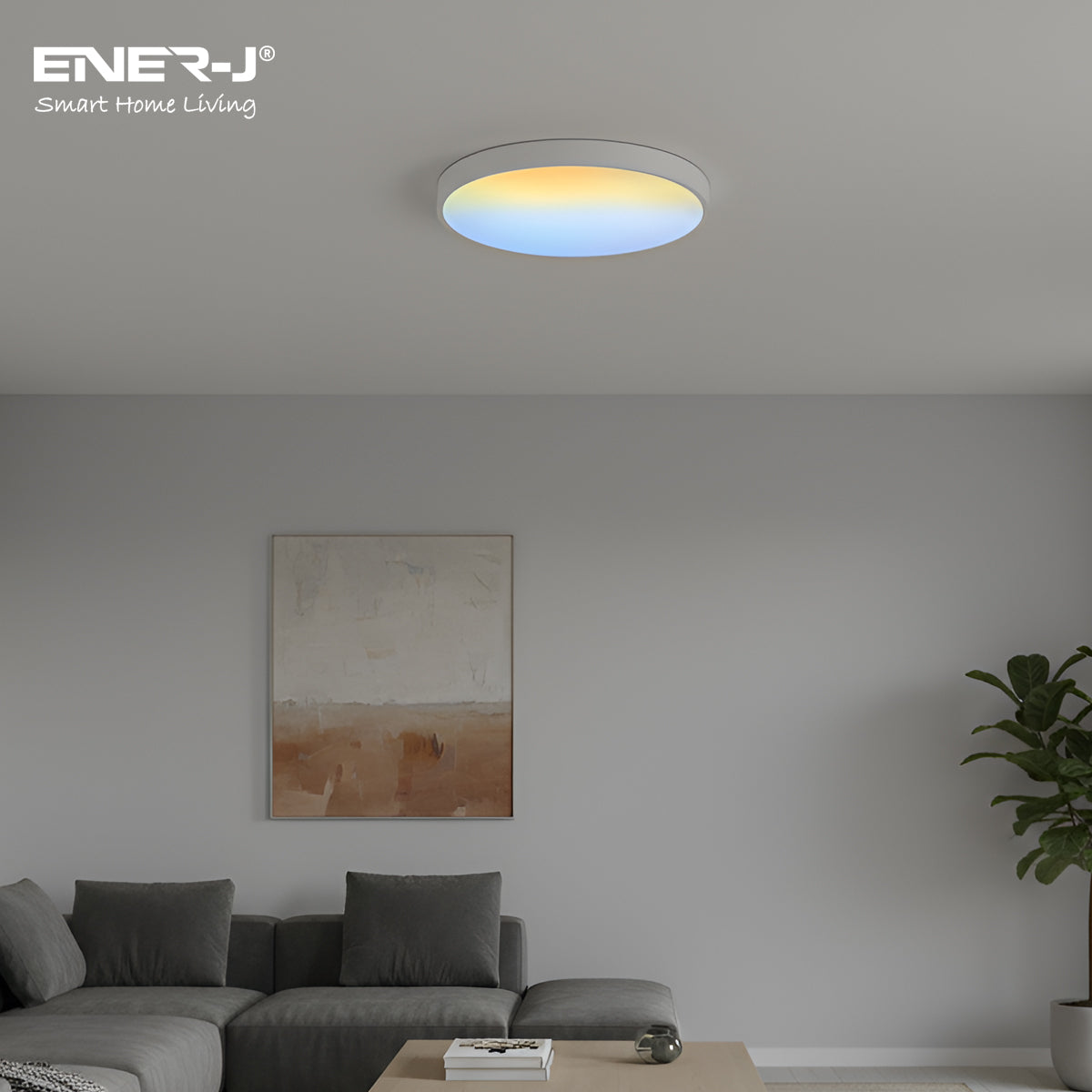 Ceiling light fixture in a living room with 'ENER-J' branding
