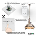 Ener-J 500W RF Non-Dimmable Receiver Module, PRO Series Wireless Kinetic Switch Compatible