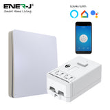 500W RF+WiFi Non-Dimmable Receiver Module, PRO Series