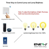 500W RF+WiFi Non-Dimmable Receiver Module, PRO Series