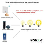 Ener-J 100W Smart Dimmable Receiver, RF + WiFi PRO Series, App & Voice Control