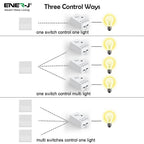 Ener-J 100W Smart Dimmable Receiver, RF + WiFi PRO Series, App & Voice Control