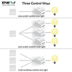 On/off & Dimmable RF (No Wi-Fi) Wireless Receiver, Max 100W Pro Series