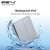 ENER-J 2 Gang Wireless Kinetic Switch, Silver + 2 units of 500W RF Receiver