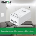 Dimmable + RF 1A Receiver compatible with Eco Switches