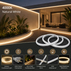 50M FCOB Neon Rope Light Kit, 10W/M, 800Lm/M, 4000K