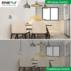 ENER-J 1 Gang Wireless Kinetic Switch, Silver + 500W RF Receiver