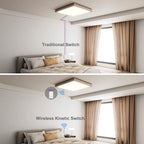 ENER-J 1 Gang Wireless Kinetic Switch, Silver + 500W RF Receiver