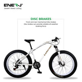 White 26 inches 21 gear Fat Sports Bike with High Carbon Steel