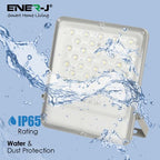 100W LED Floodlight Outdoor with Solar Panel, IP65 Waterproof, 1700 Lumens, Wall Light Work Lighting for Garage, Garden, etc