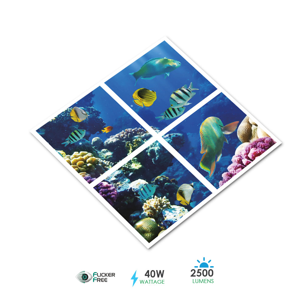Set of 4 40W 2D Ocean Marine Ceiling Light Set of 4 SKY Panel 60x60cms LED Light Cool Ultra Thin Panel, 6500K