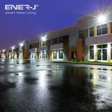 ENER-J 30W LED Flood light Pre Wired with ECO Series 500W Non Dimmable RF receiver