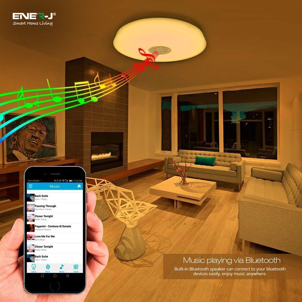 24W Smart WiFi RGB LED Ceiling Lamp with Speaker