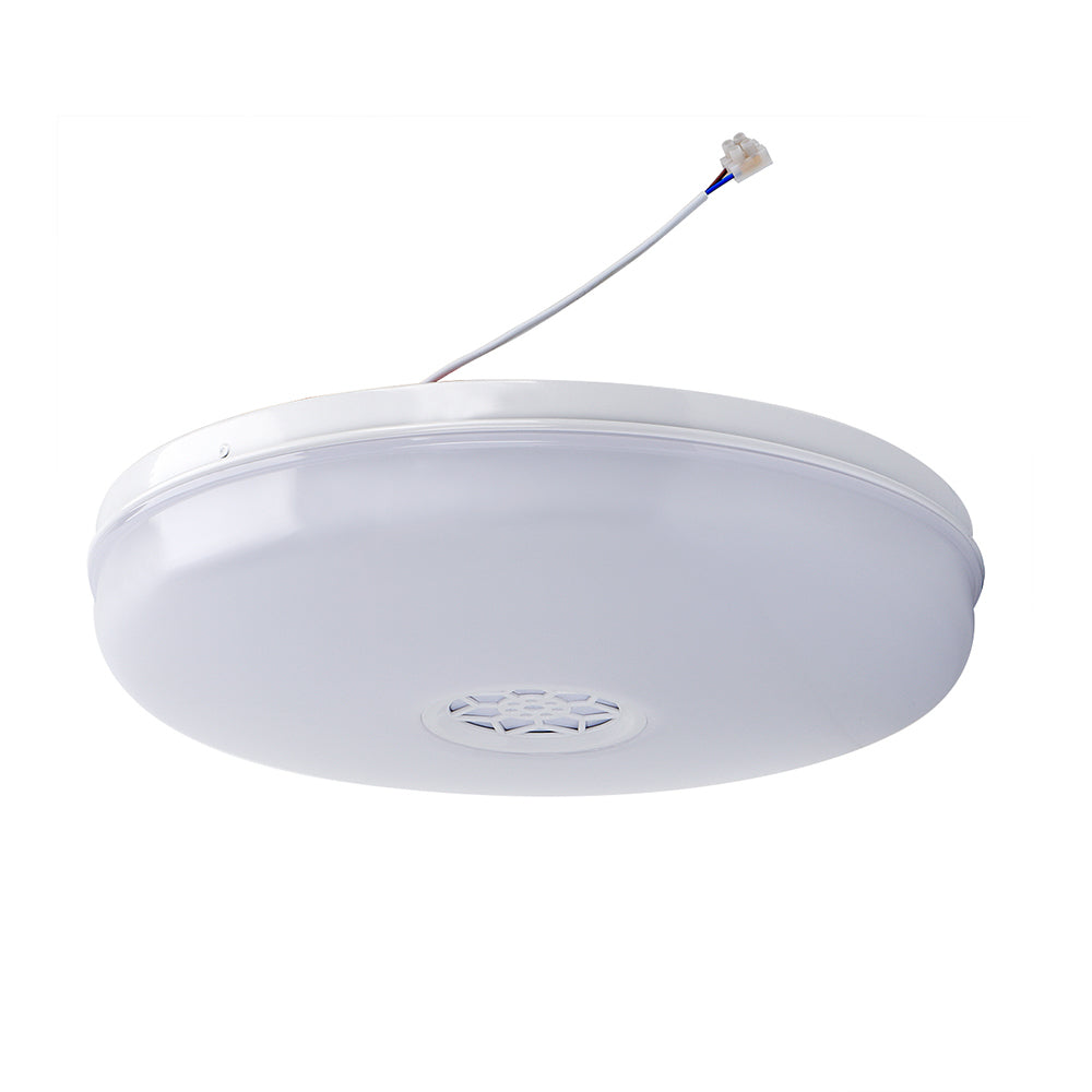 24W Smart WiFi RGB LED Ceiling Lamp with Speaker