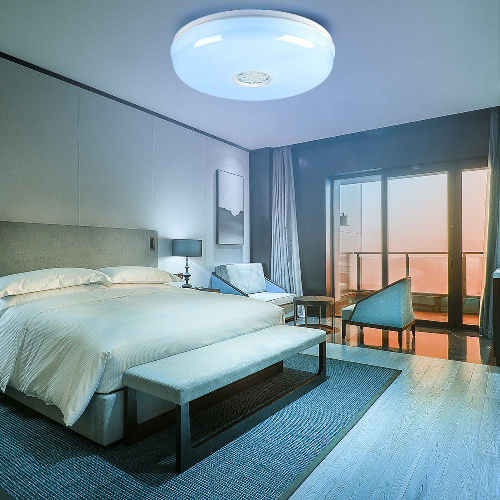 24W Smart WiFi RGB LED Ceiling Lamp with Speaker