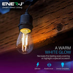 Ener-J 48ft LED Filament String Light Kit, 15 x 2W Vintage LED Bulbs, IP65 Waterproof