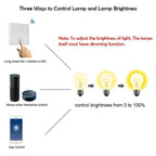 ENERJ 1-Gang Wireless Kinetic Switch & 100W WiFi Dimmable Receiver Kit, White