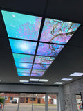 40W 2D Cherry Blossom Sky Ceiling Light Set of 4 SKY Panel 60x60cms LED Light Cool Ultra Thin Panel, 6500K